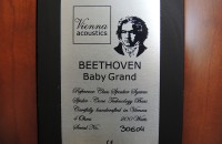 Beethven Baby Grand Symphony Edtion (11)